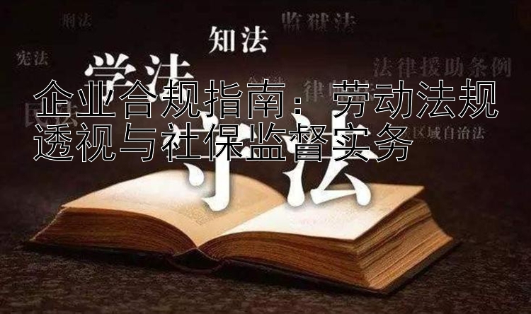 企业合规指南：劳动法规透视与社保监督实务