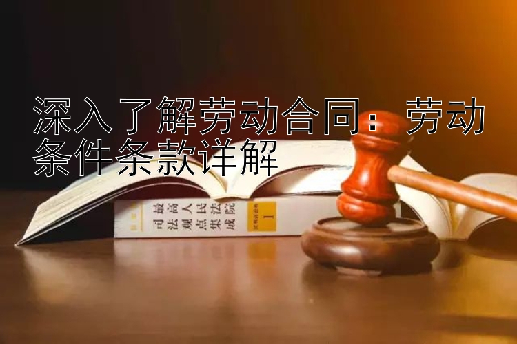 深入了解劳动合同：劳动条件条款详解