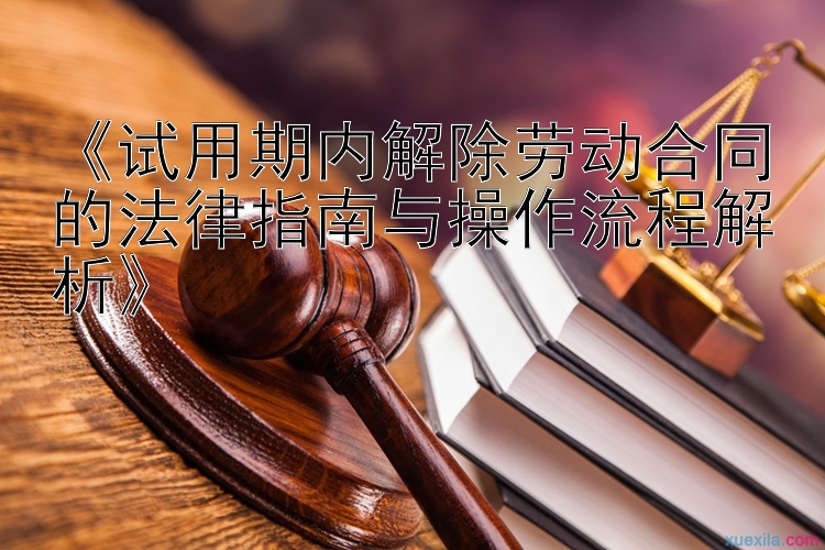 大发奔驰宝马游戏 《试用期内解除劳动合同的法律指南与操作流程解析》