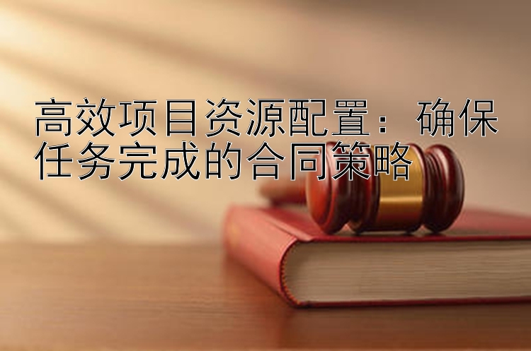 高效项目资源配置：确保任务完成的合同策略